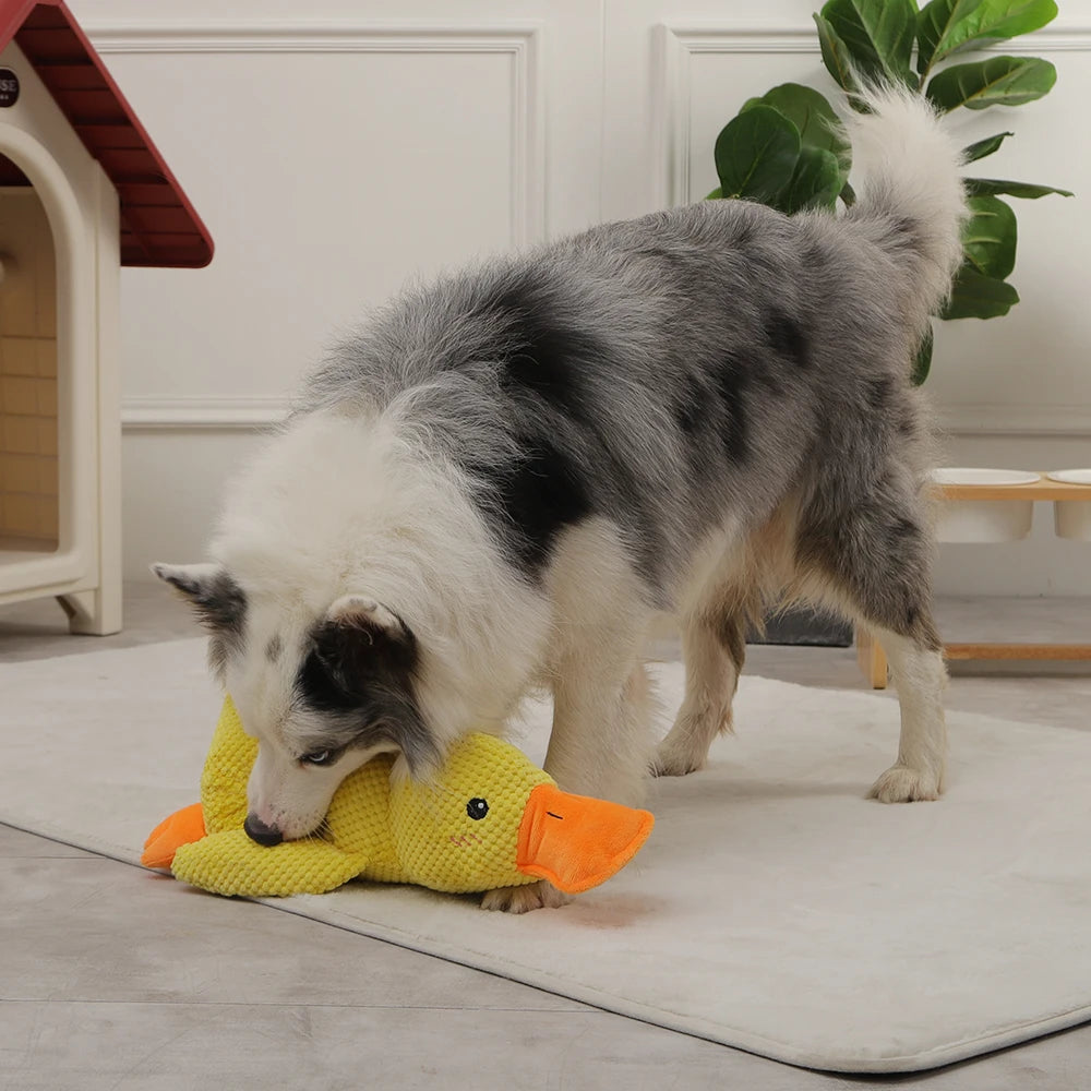 HOOPET Duck Dog Toy 🦆🐶 | Plush & Squeaky 🔊 | Cuddly Sleeping Toy 💤 | For All Sizes | Interactive & Chew-Friendly ✅