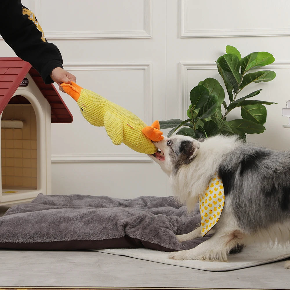 HOOPET Duck Dog Toy 🦆🐶 | Plush & Squeaky 🔊 | Cuddly Sleeping Toy 💤 | For All Sizes | Interactive & Chew-Friendly ✅
