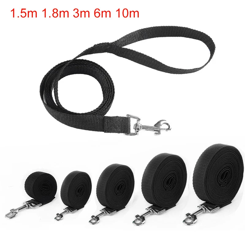 🐕🦺💪 Long Strong Nylon Dog Leash – 10m / 15m / 20m Εκπαίδευση & Βόλτες Χωρίς Όρια 🐾🏞️ Ιδανικό για εκπαίδευση, ελευθερία κινήσεων & ασφαλείς εξορμήσεις!