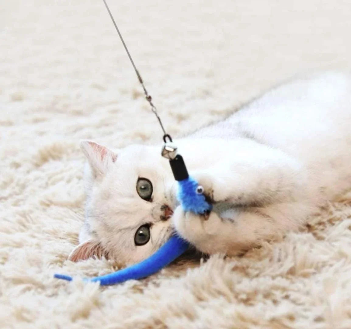 11pcs Cat Feather Toy Set 🐱🪶 | Replacement Heads + Retractable Stick 🎣 | Interactive Play & Exercise ✅