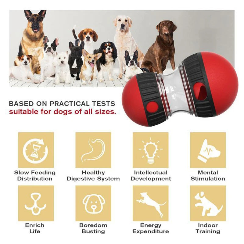 Interactive Dog Toy 🧠🐾 | Slow Feeder & IQ Trainer 🎓 | For Small to Large Pets 🐶🐱 | Indoor Play & Training ✅