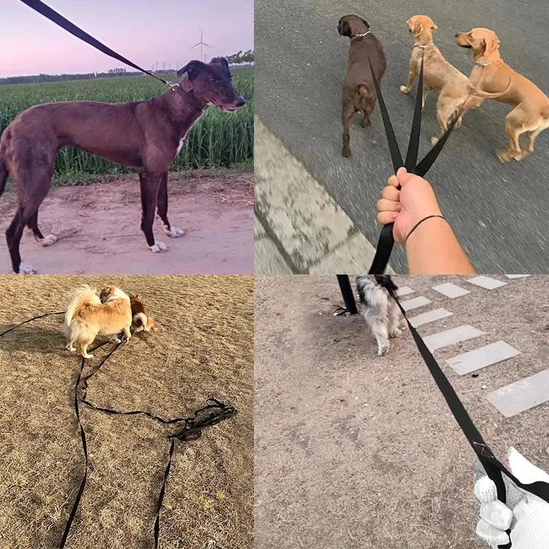 🐕🦺💪 Long Strong Nylon Dog Leash – 10m / 15m / 20m Εκπαίδευση & Βόλτες Χωρίς Όρια 🐾🏞️ Ιδανικό για εκπαίδευση, ελευθερία κινήσεων & ασφαλείς εξορμήσεις!