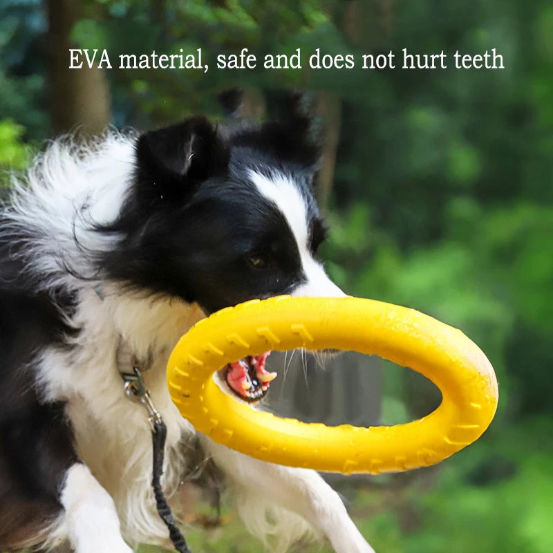 Dog Toy Set 4-Pack 🐶🦴 | EVA Durable Chew Toys 💪 | Ball + Flying Disc + Tug Rope 🎾🛸 | Teeth Cleaning & Fun ✅