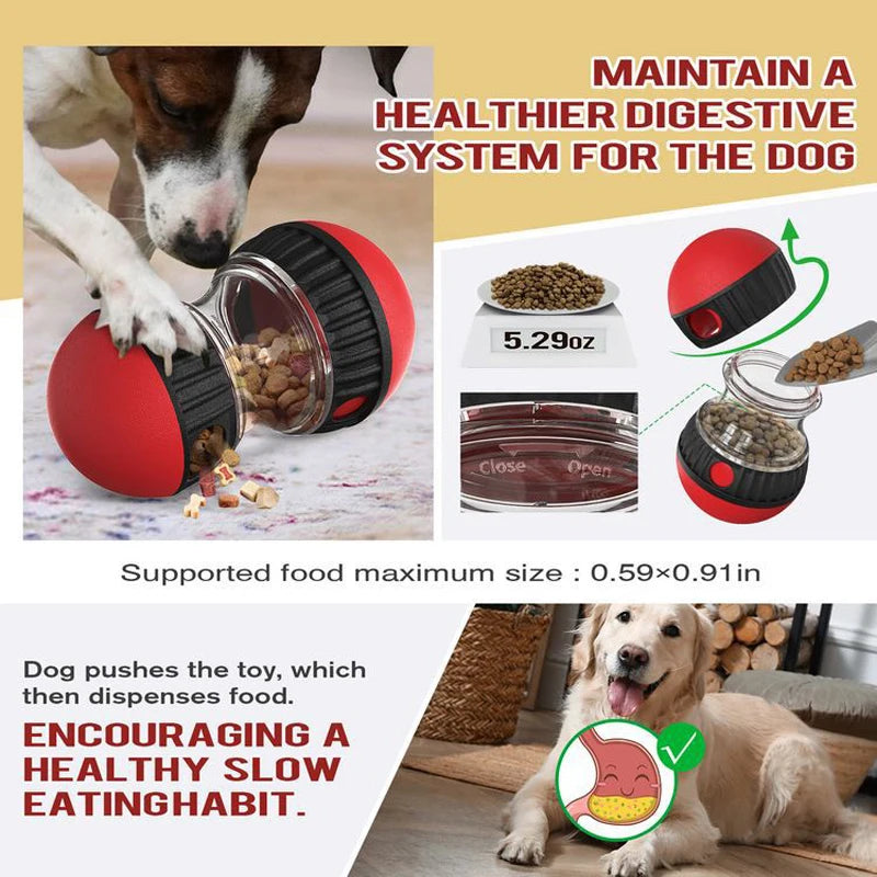 Interactive Dog Toy 🧠🐾 | Slow Feeder & IQ Trainer 🎓 | For Small to Large Pets 🐶🐱 | Indoor Play & Training ✅