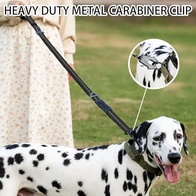 🚘🐕 Reflective Shock-Absorbing Dog Leash with Car Seatbelt – Tactical & Ανθεκτικό Bungee Λουρί 💥🦴 Αντοχή, έλεγχος & ασφάλεια – στη βόλτα και στο αυτοκίνητο!