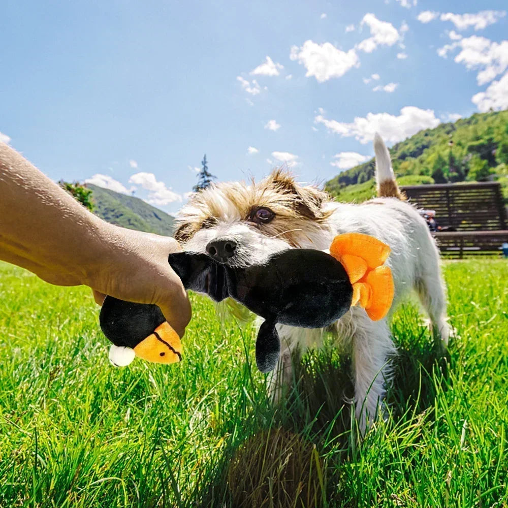 Screaming Chicken Dog Toy 🐔🔊 | Plush & Squeaky 🧸 | Bite-Resistant Chew Toy 💪 | For Puppies & Small Dogs 🐶