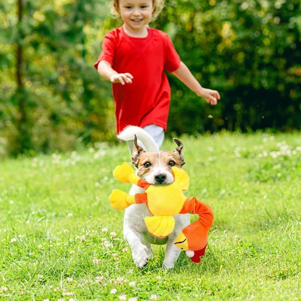 Screaming Chicken Dog Toy 🐔🔊 | Plush & Squeaky 🧸 | Bite-Resistant Chew Toy 💪 | For Puppies & Small Dogs 🐶