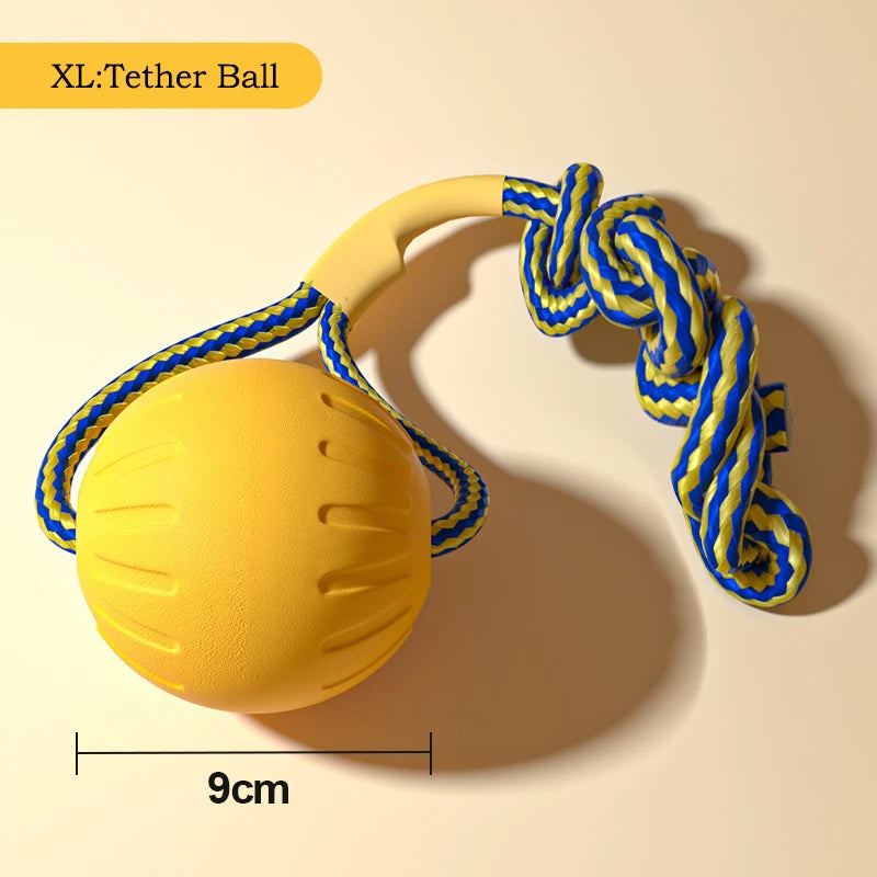 Dog Toy Set 4-Pack 🐶🦴 | EVA Durable Chew Toys 💪 | Ball + Flying Disc + Tug Rope 🎾🛸 | Teeth Cleaning & Fun ✅