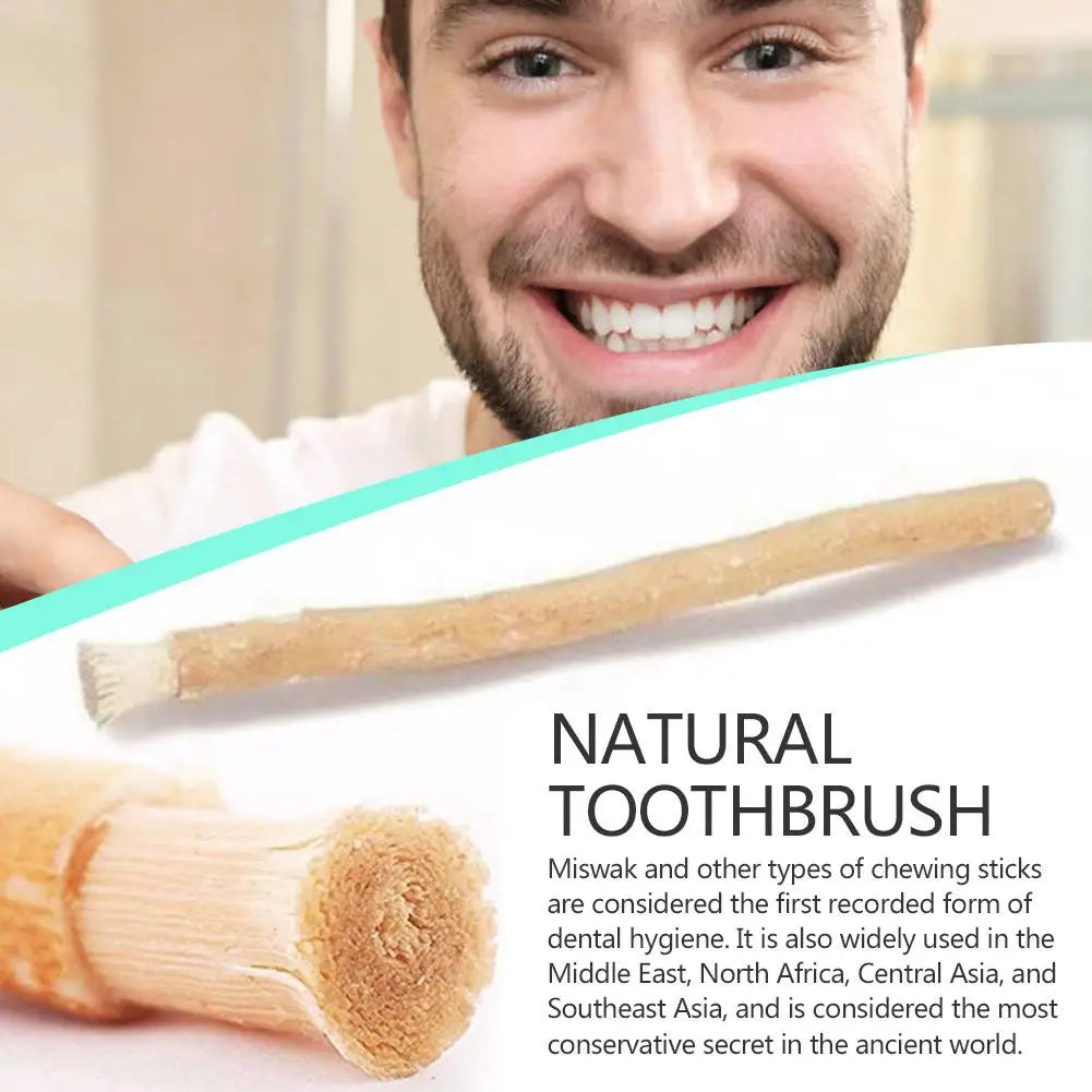 🌿🦷 Miswak – Φυσική Οδοντόβουρτσα από Arak Wood | Παραδοσιακή Οδοντική Φροντίδα 🎯