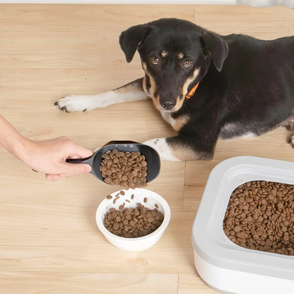 Pet Food Scoop 🥄🐾 | Large Capacity 🍗 | Multifunctional Spoon for Cats & Dogs 🐶🐱 | Durable Plastic ✅