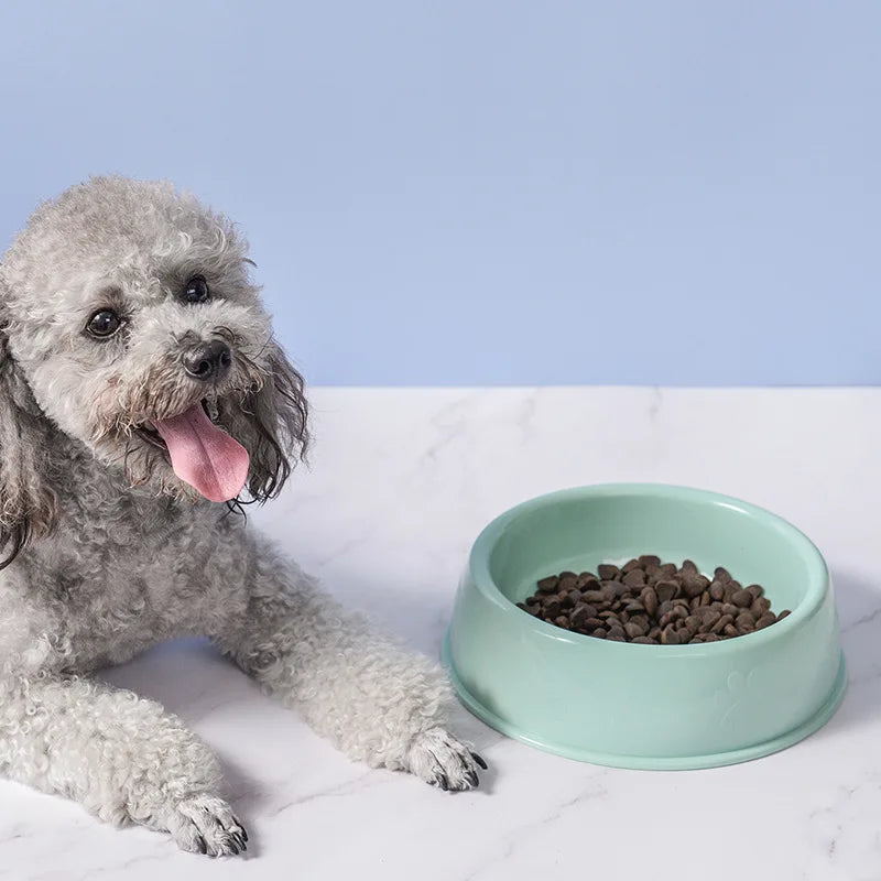 Eco Pet Bowl 🐶🐱 | Durable Plastic 🍃 | Wheat Straw Material 🌾 | Food & Water Feeder 🥣 | For Small/Medium Pets ✅