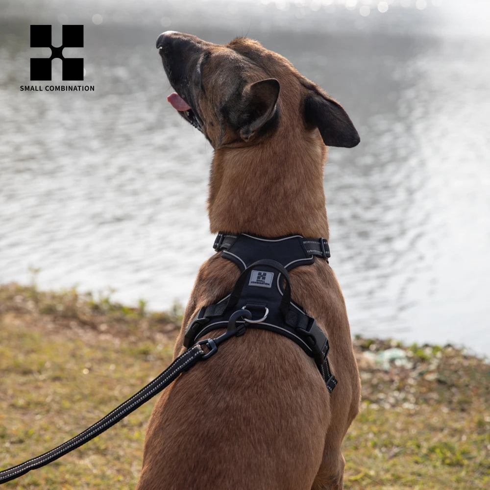 🐾✨ Personalized No-Pull Dog Harness – Αντανακλαστικό, Άνετο & Ρυθμιζόμενο 💪🐶 Περίπατοι χωρίς τράβηγμα, με στυλ και ασφάλεια – για κάθε μέγεθος σκύλου!