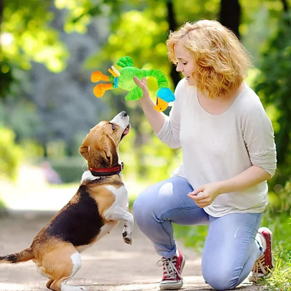 Screaming Chicken Dog Toy 🐔🔊 | Plush & Squeaky 🧸 | Bite-Resistant Chew Toy 💪 | For Puppies & Small Dogs 🐶