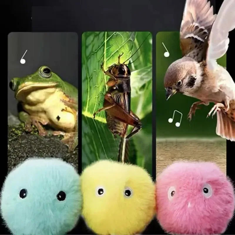 Chirping Cat Balls 🐱🔊 | Birds, Frogs & Crickets Sounds 🐦🐸🦗 | Rolling EVA Plush Balls 🧶 | Soft & Fun Teaser Toys ✅