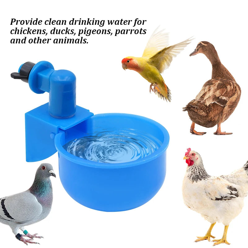 6pcs Chicken Drinker Cups 🐔💧 | Auto Water Feeder 🛠️ | For Chicks, Ducks & Poultry 🦆 | Easy Install Plastic ✅