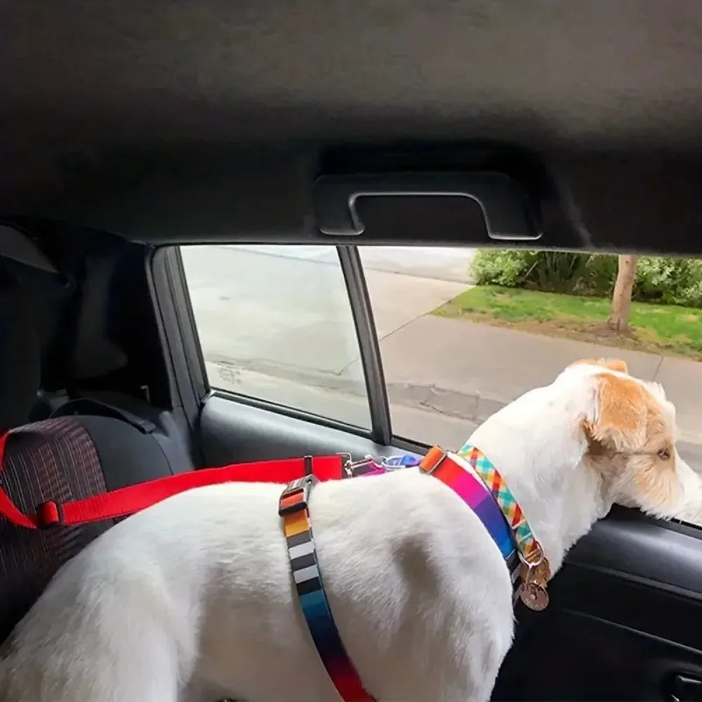 🚘🐾 Adjustable Pet Car Seat Belt – Ζώνη Ασφαλείας Καθίσματος για Μικρούς Σκύλους & Γάτες 🛡️🐶 Ασφαλείς μετακινήσεις χωρίς άγχος – εύκολη σύνδεση στο προσκέφαλο!