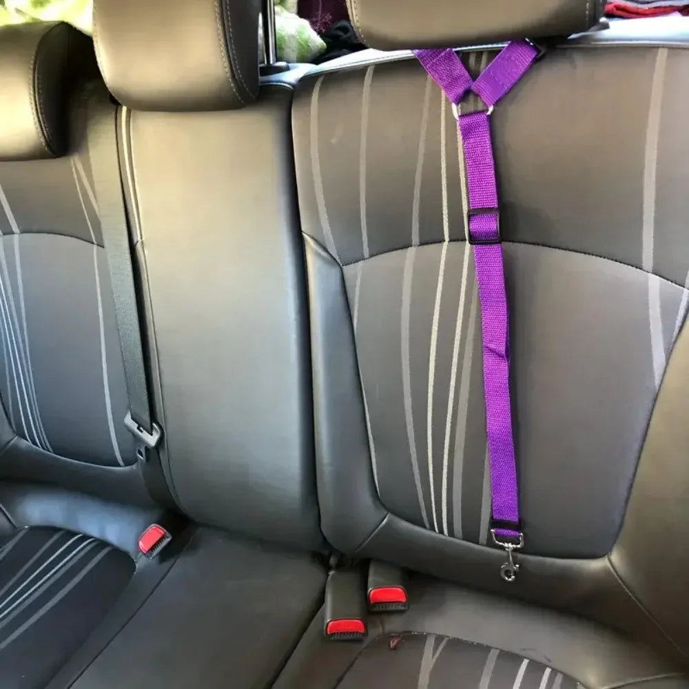 🚘🐾 Adjustable Pet Car Seat Belt – Ζώνη Ασφαλείας Καθίσματος για Μικρούς Σκύλους & Γάτες 🛡️🐶 Ασφαλείς μετακινήσεις χωρίς άγχος – εύκολη σύνδεση στο προσκέφαλο!