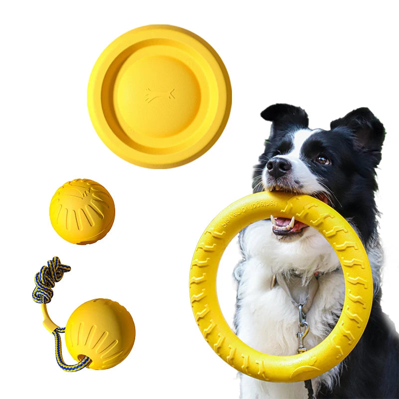 Dog Toy Set 4-Pack 🐶🦴 | EVA Durable Chew Toys 💪 | Ball + Flying Disc + Tug Rope 🎾🛸 | Teeth Cleaning & Fun ✅
