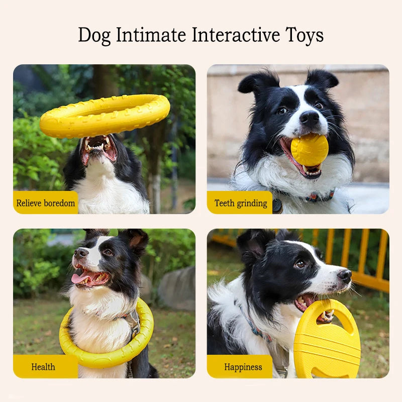 Dog Toy Set 4-Pack 🐶🦴 | EVA Durable Chew Toys 💪 | Ball + Flying Disc + Tug Rope 🎾🛸 | Teeth Cleaning & Fun ✅