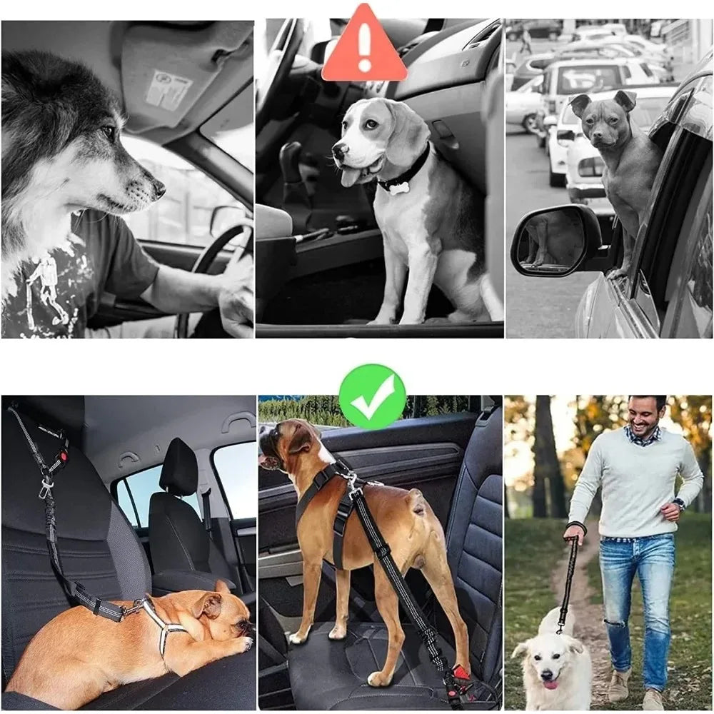 🚗🐶 2-in-1 Dog Car Seatbelt – Ρυθμιζόμενη Ζώνη Ασφαλείας με Κλιπ & Δέσιμο στο Προσκέφαλο ✨🛡️ Οδήγηση με ασφάλεια και ηρεμία – για μικρούς & μεγάλους σκύλους!