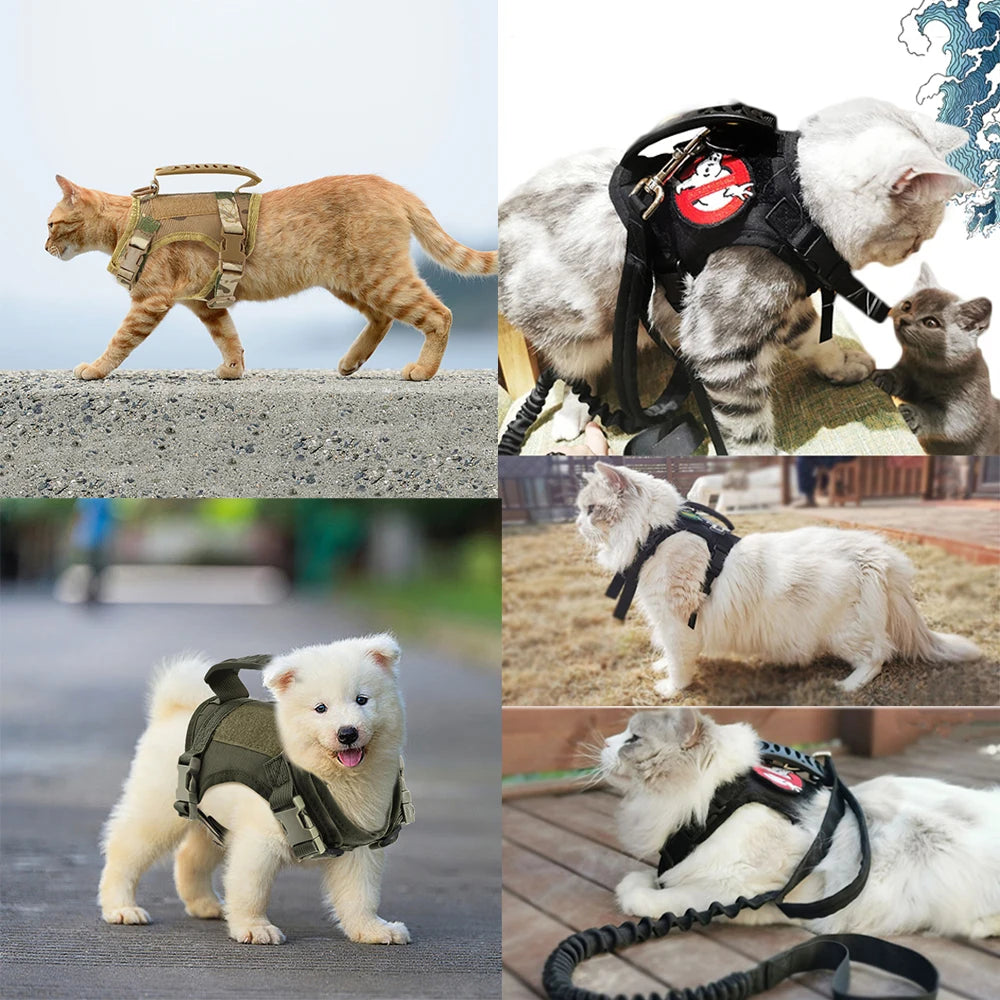 🎖️🐾 Tactical Puppy Harness & Leash – Σαμαράκι Ειδικού Τύπου για Μικρούς Σκύλους & Γατάκια 🐶🐱 Στιβαρό, ρυθμιζόμενο και άνετο – για εκπαίδευση, βόλτες & περιπέτεια!