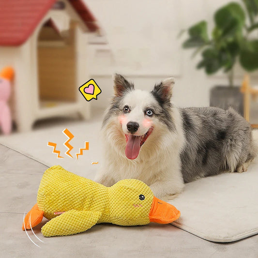 HOOPET Duck Dog Toy 🦆🐶 | Plush & Squeaky 🔊 | Cuddly Sleeping Toy 💤 | For All Sizes | Interactive & Chew-Friendly ✅