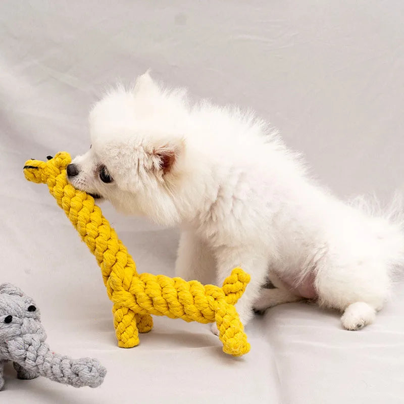 Rope Knot Ball Toy 🐶🪢 | Bite-Resistant Chew Toy 💪 | Teeth Cleaning 🦷 | For Small Dogs & Puppies 🐾 | Fun & Durable ✅