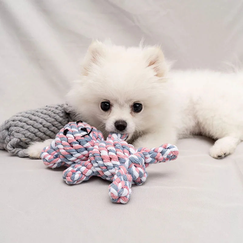 Rope Knot Ball Toy 🐶🪢 | Bite-Resistant Chew Toy 💪 | Teeth Cleaning 🦷 | For Small Dogs & Puppies 🐾 | Fun & Durable ✅