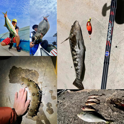 🎣 BIUTIFU Traveller Spinning & Casting Rod – Ανθεκτικό Καλάμι Ψαρέματος Carbon με FUJI Guides 🌊