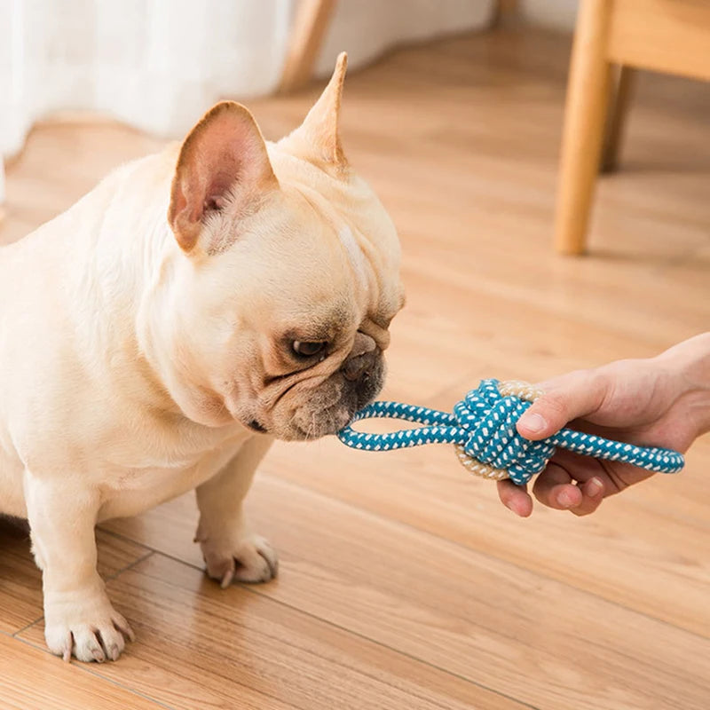 Mini Dog Rope Toy 🐶🪢 | Cotton Ball for Chewing 🦷 | Interactive & Tooth-Friendly ✅ | For Small & Large Dogs 🐕🐾