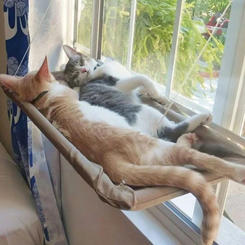 🐱 Αιώρα Παραθύρου για Γάτες – Cat Hammock Window Hanger | Πτυσσόμενο & Πλενόμενο Κρεβατάκι με Βεντούζες για Ύπνο & Ξεκούραση