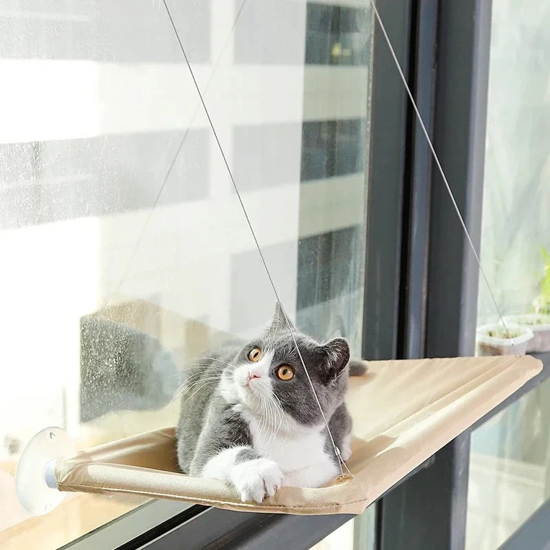 🐱 Αιώρα Παραθύρου για Γάτες – Cat Hammock Window Hanger | Πτυσσόμενο & Πλενόμενο Κρεβατάκι με Βεντούζες για Ύπνο & Ξεκούραση