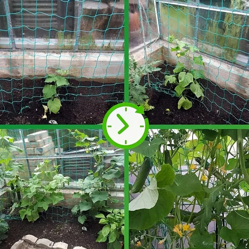 🌱🪴 Δίχτυ Στήριξης Φυτών – Heavy-Duty Grow Net με Τετράγωνο Πλέγμα για Αναρριχώμενα Φυτά & Λαχανικά 🍅🍇