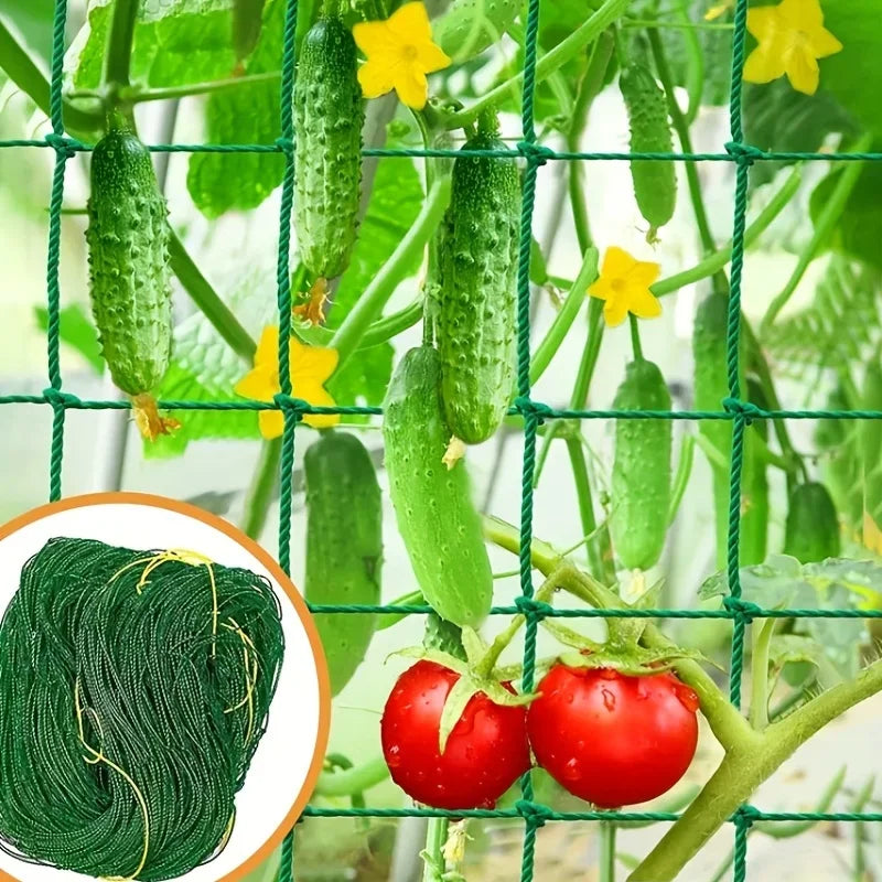 🌱🪴 Δίχτυ Στήριξης Φυτών – Heavy-Duty Grow Net με Τετράγωνο Πλέγμα για Αναρριχώμενα Φυτά & Λαχανικά 🍅🍇