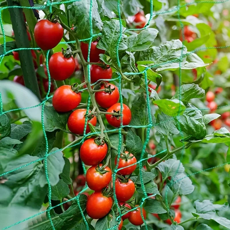 🌱 Πλέγμα Αναρρίχησης Φυτών – Ανθεκτικό Πολυεστερικό Δίχτυ για Κήπους, Λαχανικά & Καλλιέργειες 🍅✨