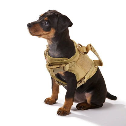 🎖️🐾 Tactical Puppy Harness & Leash – Σαμαράκι Ειδικού Τύπου για Μικρούς Σκύλους & Γατάκια 🐶🐱 Στιβαρό, ρυθμιζόμενο και άνετο – για εκπαίδευση, βόλτες & περιπέτεια!