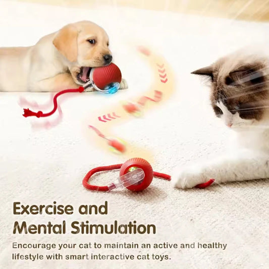 🐾 Έξυπνη Μπάλα Παιχνίδι για Γάτες – Αυτόματη Ηλεκτρική Μπάλα Κίνησης για Διασκέδαση & Άσκηση 🐱⚡