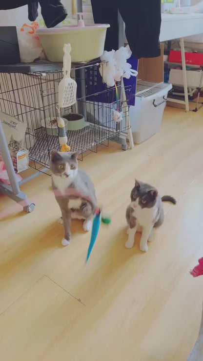 11pcs Cat Feather Toy Set 🐱🪶 | Replacement Heads + Retractable Stick 🎣 | Interactive Play & Exercise ✅