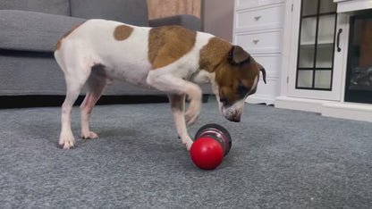 Interactive Dog Toy 🧠🐾 | Slow Feeder & IQ Trainer 🎓 | For Small to Large Pets 🐶🐱 | Indoor Play & Training ✅